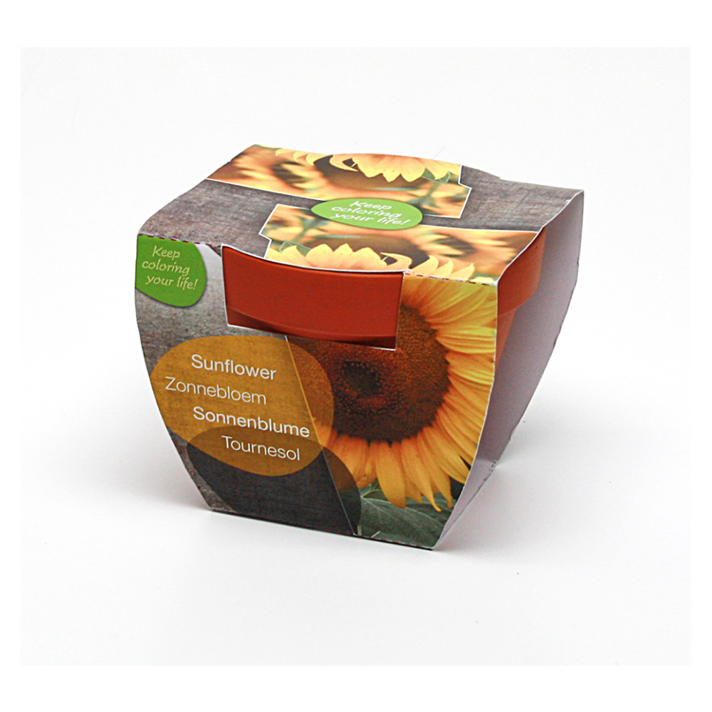 Kruka Ø 100 mm med kartong och frön